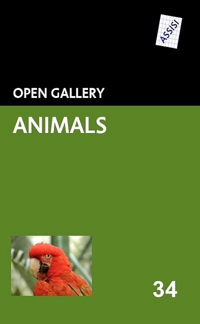 Open Animals