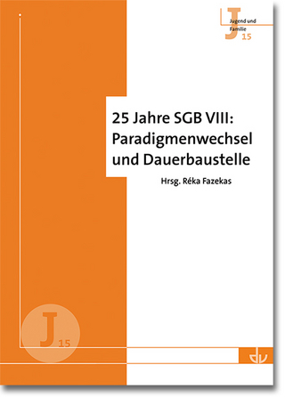 25 Jahre SGB VIII: Paradigmenwechsel und Dauerbaustelle