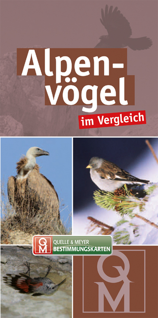 Alpenvögel im Vergleich