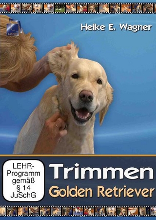Trimmen Golden Retriever
