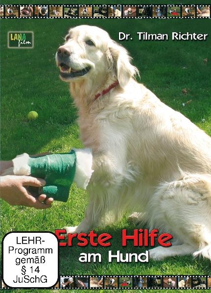 Erste Hilfe am Hund - Tilman Richter