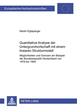 Quantitative Analyse der Untergrundwirtschaft mit einem linearen Strukturmodell