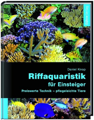 Riffaquaristik für Einsteiger