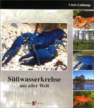 Süsswasser-Krebse aus aller Welt