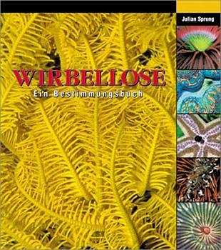 Wirbellose - Julian Sprung