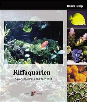 Riffaquarien - Daniel Knop