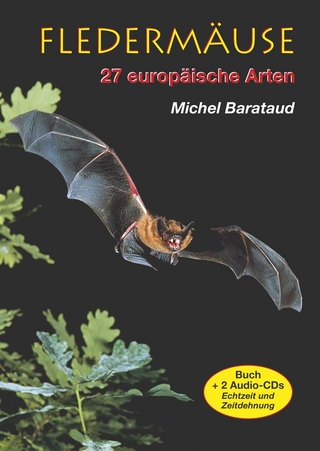 Fledermäuse