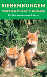 Siebenbürgen - Naturbeobachtungen in Rumänien