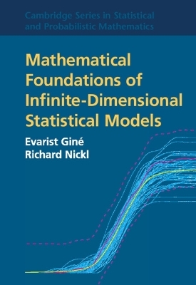 Mathematical Foundations of Infinite-Dimensional Statistical Models - Evarist Gin&eacute;, Richard Nickl