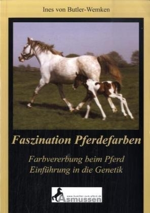 Faszination Pferdefarben
