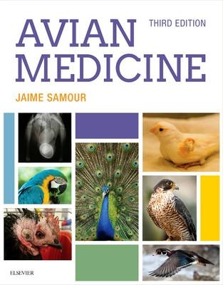 Avian Medicine - Jaime Samour