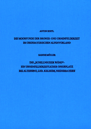 Beiträge zu Kult und Religion der Bronze- und Urnenfelderzeit