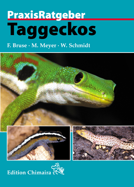 Taggeckos - Frank Bruse, Michael Meyer, Wolfgang Schmidt