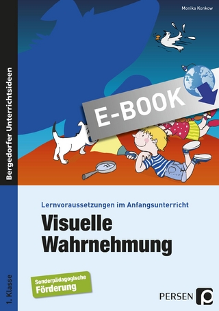 Visuelle Wahrnehmung