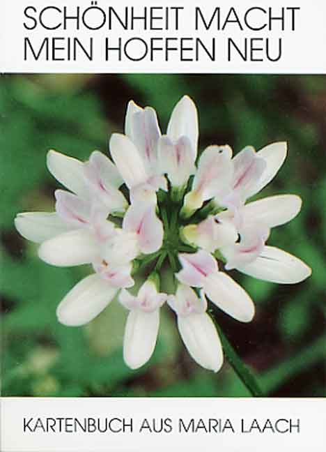Sch&ouml;nheit macht mein Hoffen neu