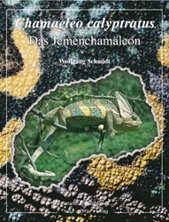 Chamaeleo calyptratus - Wolfgang Schmidt
