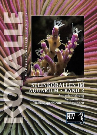 Steinkorallen im Aquarium