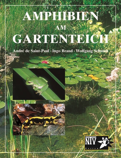 Amphibien am Gartenteich - Andr&egrave; de Saint-Paul, Ingo Brand, Wolfgang Schmidt