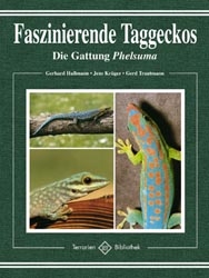 Faszinierende Taggeckos