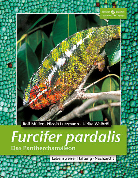 Furcifer pardalis - Das Panthercham&auml;leon - Rolf M&uuml;ller, Nicol&aacute; Lutzmann, Ulrike Walbr&ouml;l