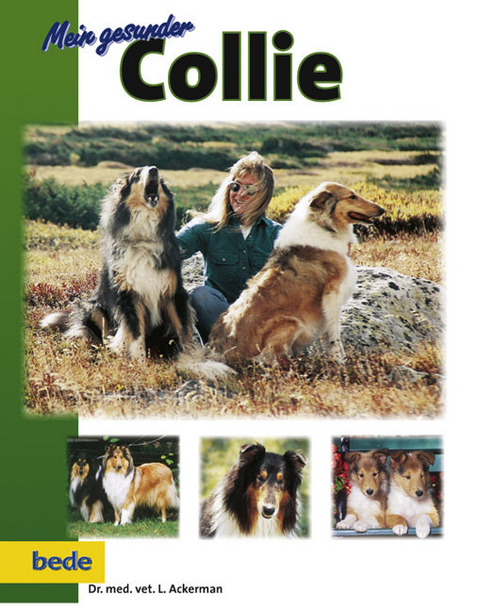 Mein gesunder Collie - Lowell Ackerman