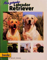 Mein gesunder Labrador Retriever