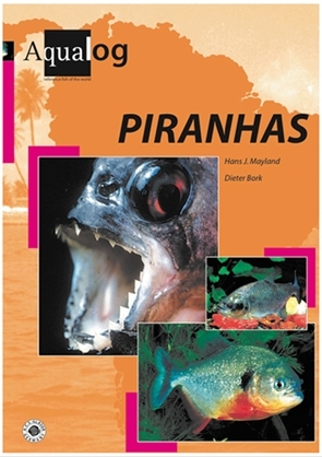 Aqualog Southamerican Cichlids - Ergänzungsbögen / 3. Ergänzungsbogen zu South American Cichlids I