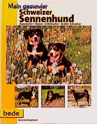 Mein gesunder Schweizer Sennenhund