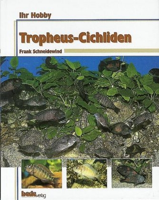 Ihr Hobby Tropheus-Cichliden