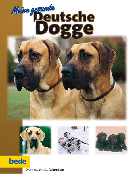 Meine gesunde Deutsche Dogge - Lowell Ackerman