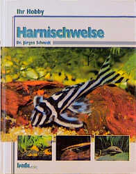Harnischwelse - J&uuml;rgen Schmidt