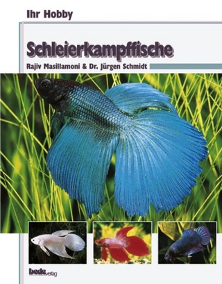 Ihr Hobby Schleierkampffische