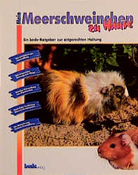 Mein Meerschweinchen zu Hause