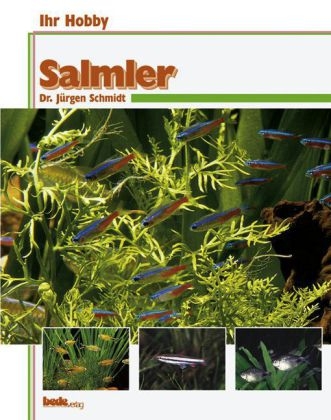 Ihr Hobby Salmler - J&uuml;rgen Schmidt