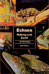 Echsen im Terrarium