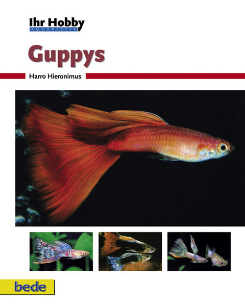 Ihr Hobby Guppys - Harro Hieronimus