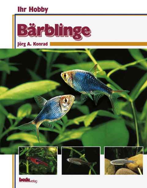 B&auml;rblinge - J&ouml;rg A. Konrad