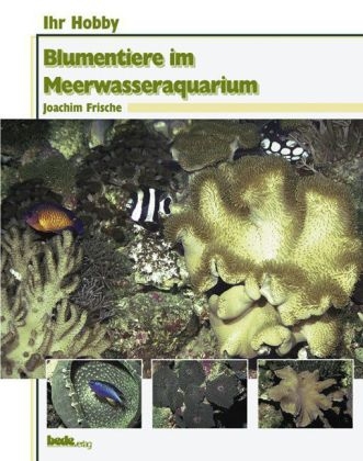 Ihr Hobby Blumentiere im Meerwasseraquarium - Joachim Frische