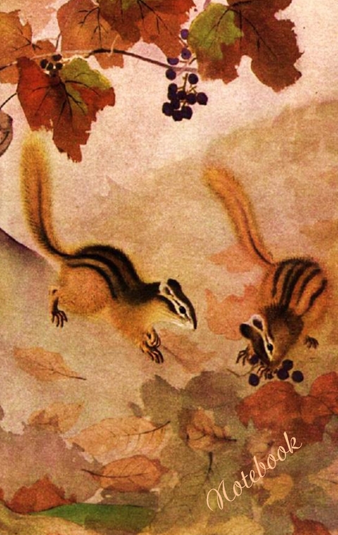 Eichh&ouml;rnchen - Notizbuch - Theo von Taane