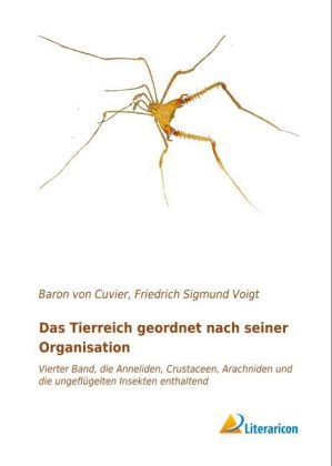 Das Tierreich geordnet nach seiner Organisation