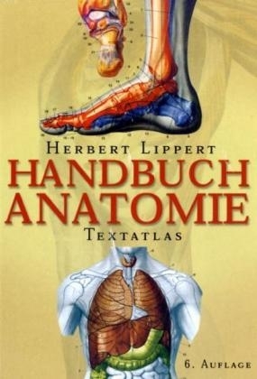 Handbuch Anatomie