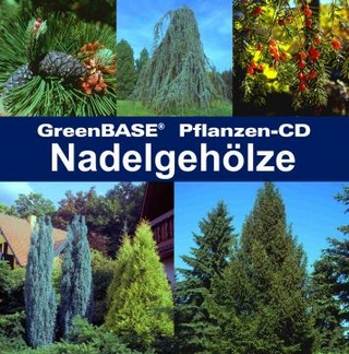 Nadelgehölze