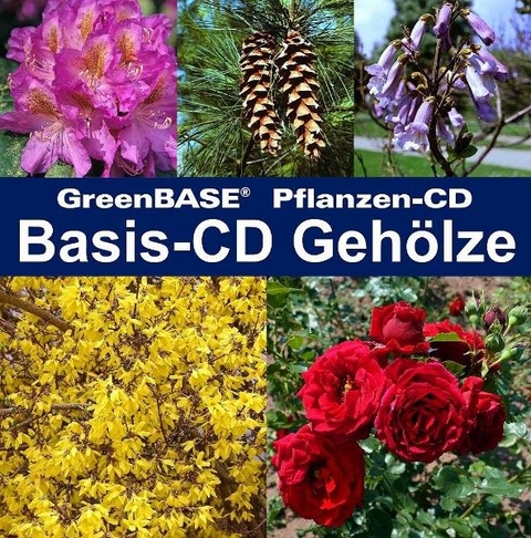 Basis-CD Geh&ouml;lze