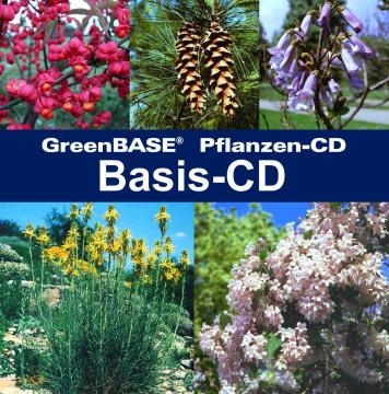 Basis-CD - Hans R M&uuml;ller, Gerhard R&ouml;hn, Jens Tischer