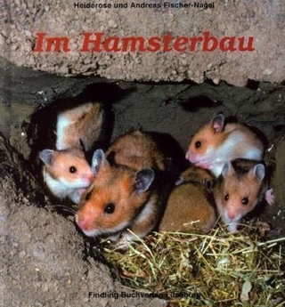 Im Hamsterbau