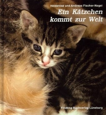 Ein K&auml;tzchen kommt zur Welt - Heiderose Fischer-Nagel, Andreas Fischer-Nagel