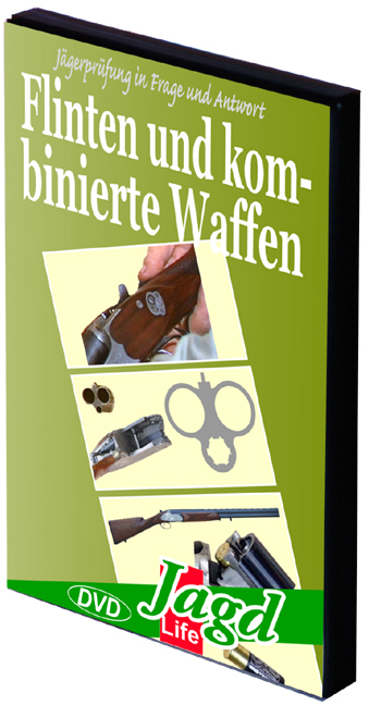 Flinten und kombinierte Waffen - Alfons Niedenzu