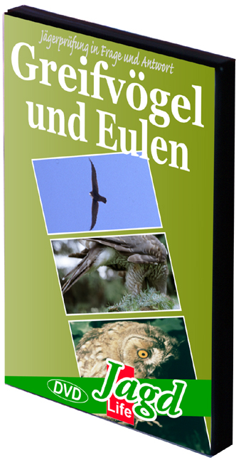 Greifv&ouml;gel und Eulen - Alfons Niedenzu