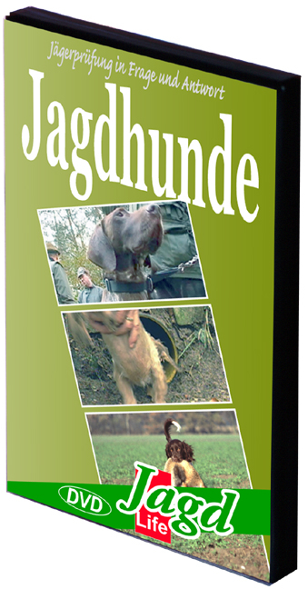 Jagdhunde - Alfons Niedenzu