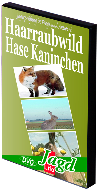Haarraubwild, Hase, Kaninchen - Alfons Niedenzu